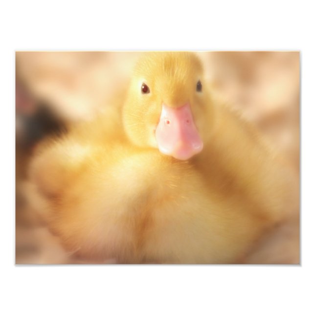 Foto Felpudo Páscoa de Pato Amarelo (Frente)