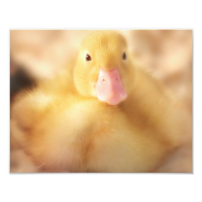 Foto Felpudo Páscoa de Pato Amarelo (Frente)