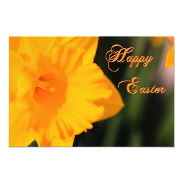 Foto Felz pascoa Amarelo Flor Daffodilo do Primavera (Frente)