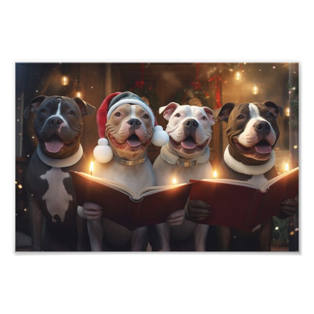 Foto Feriado de Natal dos Terriers Pitbull (Frente)