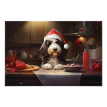 Feriado Festivo de Natal Bernedoodle
