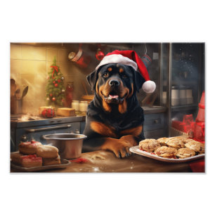 Foto Feriado Festivo de Natal Rottweiler