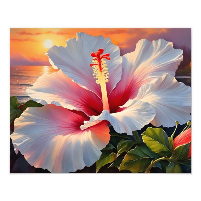 Foto Fiery Hibiscus Bloom no Sunset (Frente)