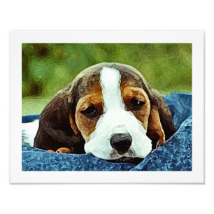 Foto Filhote de cachorro do Basset que descansa - Brown