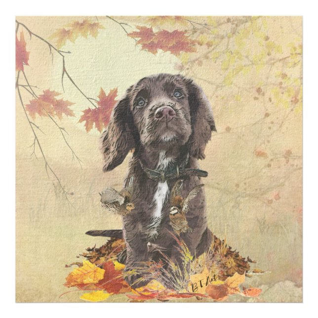 Foto Filhote de cocker spaniel chocolate  (Frente)