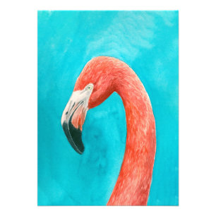 Foto Flamingo