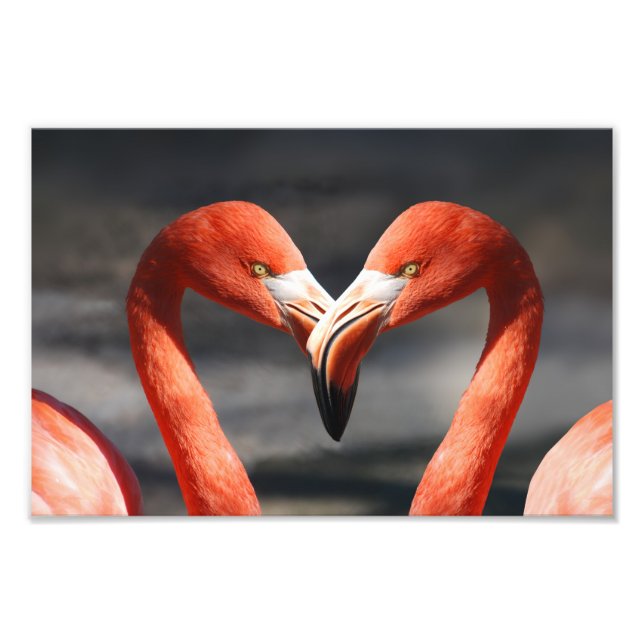 Foto Flamingo do Dia dos Namorados (Frente)