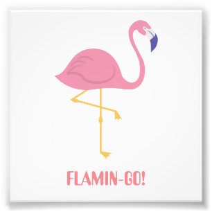 Foto Flamingo (flamingo!)
