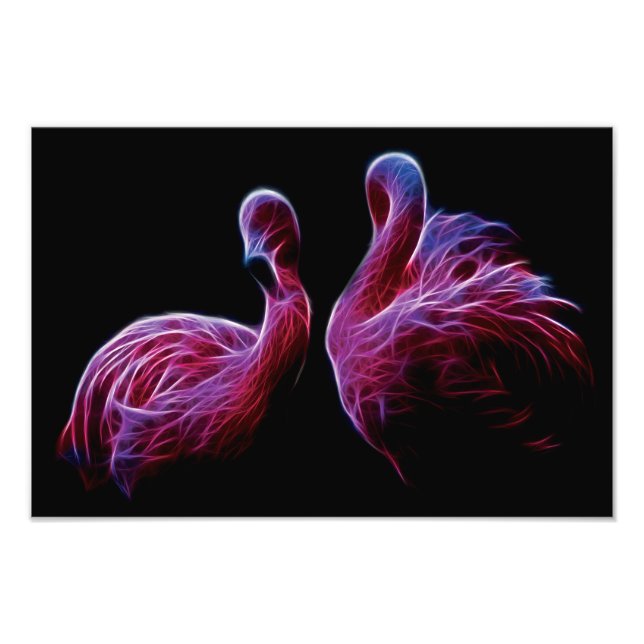 Foto Flamingo Fractal (Frente)