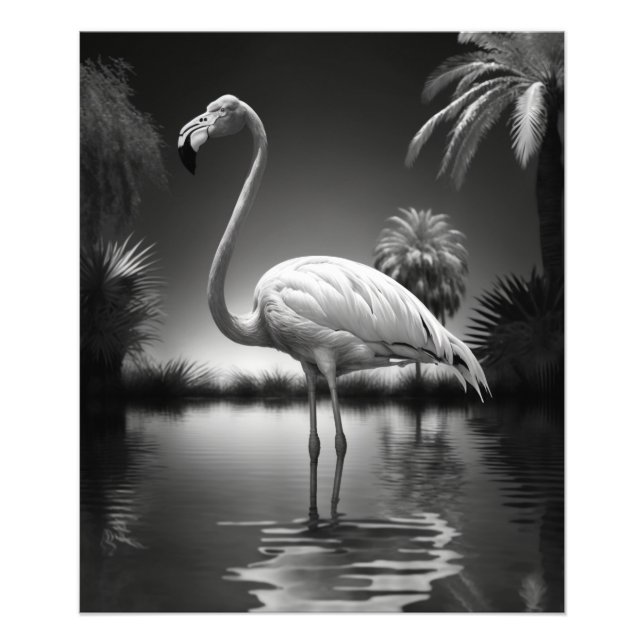 Foto Flamingo numa Piscina (Frente)