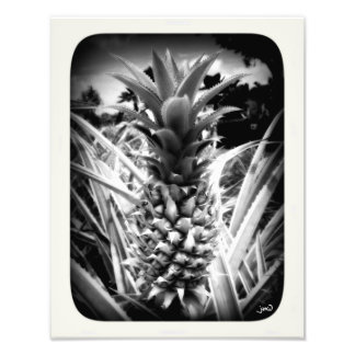 Foto Flash De Inspiração