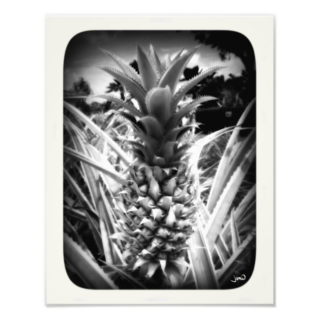 Foto Flash De Inspiração (Frente)