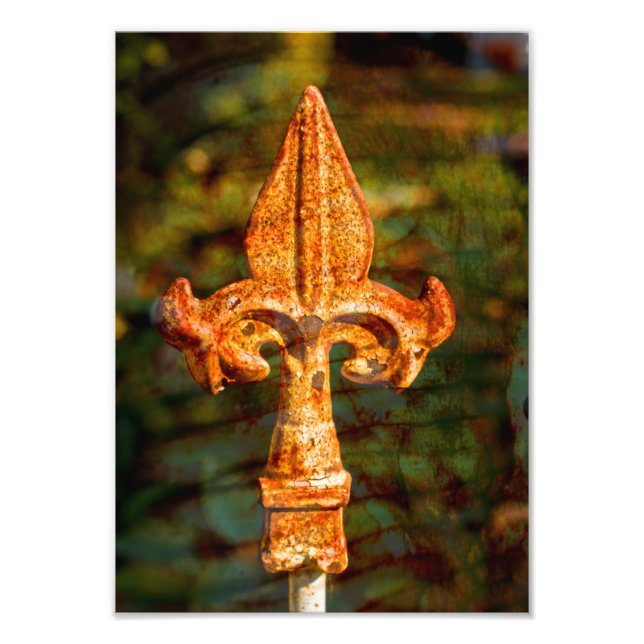 Foto Fleur De Lis em Feira (Frente)