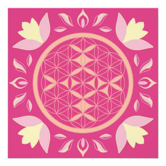 Foto fleur de vie rose