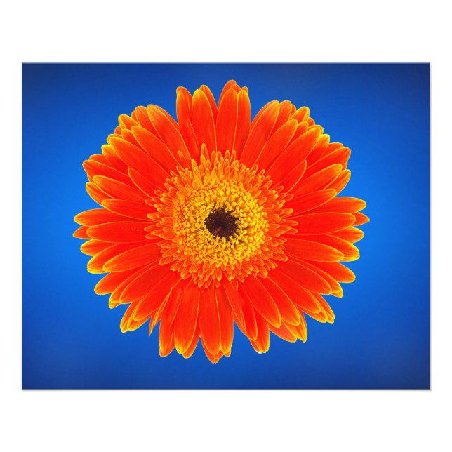 Foto Flor amarela (Frente)