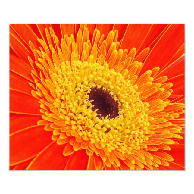 Foto Flor amarela (Frente)