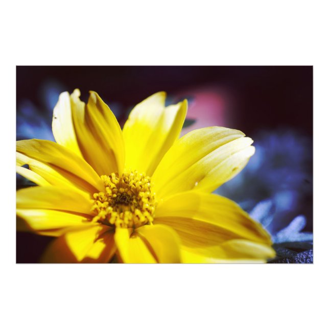 Foto Flor Amarelo (Frente)