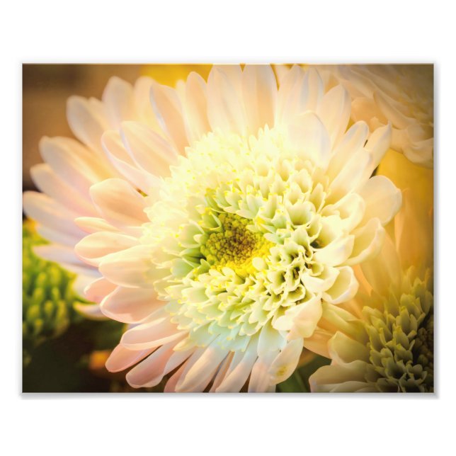 Foto Flor branca (Frente)