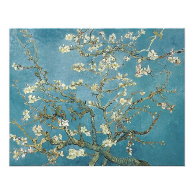 Foto Flor de amêndoa de Vincent van Gogh (1890) (Frente)