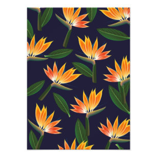 Foto Flor de ave do paraíso