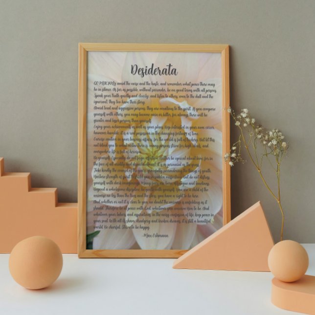 Foto Flor de Dália Rosa Desiderata Poema (In Situ (Framed))