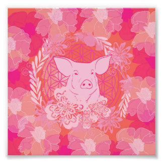 Foto Flor de PiG da vida