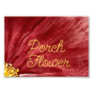 Foto Flor de Portas / Original /