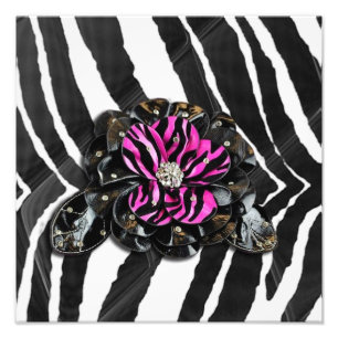 Foto Flor de Rosa em Zebra