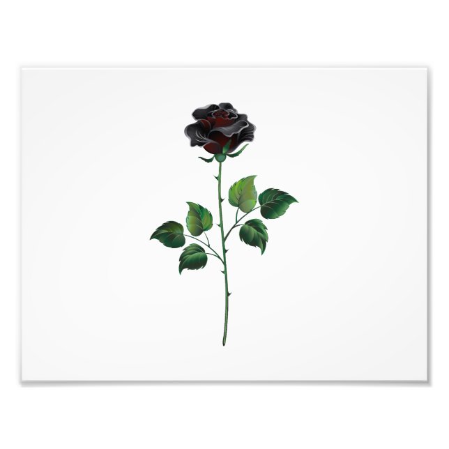 Foto Flor de rosa preta (Frente)