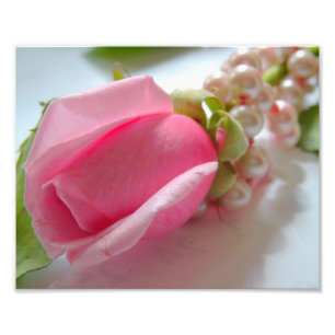 Foto Flor em botão do rosa do rosa com colar da pérol