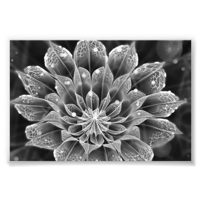 Foto Flor Fractal Dahlia BnW via Microscópio Eletrônico (Frente)