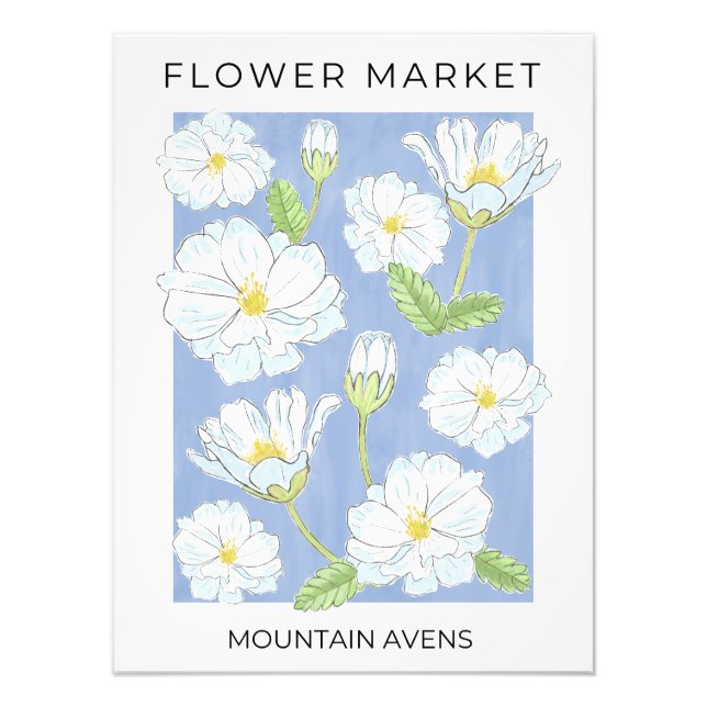 Foto Flor Market White Alpine Mountain Aven Flores (Frente)