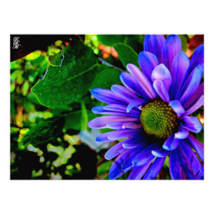 Foto Flor Puro Brilhante