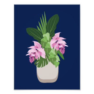 Foto Flor Rosa-Rosa-Medinilla Tropical Vase de Azul-Esc
