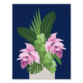 Foto Flor Rosa Tropical de Medinilla no Azul Escuro