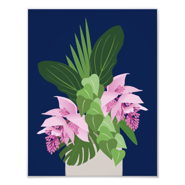 Foto Flor Rosa Tropical de Medinilla no Azul Escuro (Frente)