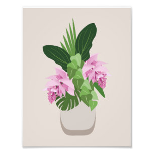 Foto Flor rosa Tropical Medinilla em Vase em Beige