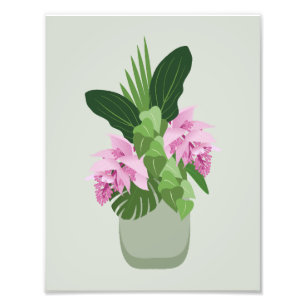 Foto Flor rosa Tropical Medinilla em Vase em Verde