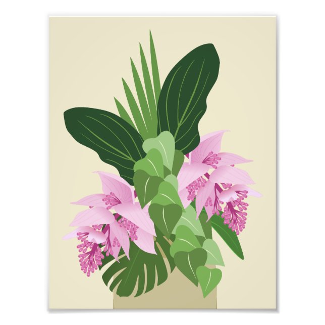 Foto Flor rosa Tropical Medinilla Rosa em Amarelo (Frente)