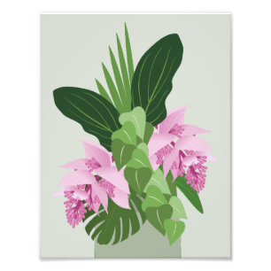 Foto Flor rosa Tropical Medinilla Rosa em Verde