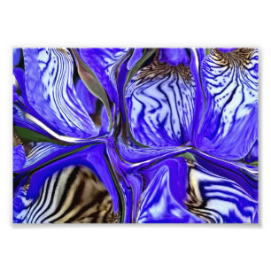 Foto Flor Roxo-Íris