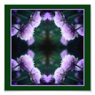 Foto Flor Roxo Scallion Onion Abstrato 8x8