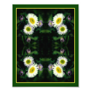 Foto Flor Selvagem Fleabane Daisy Abstrato 8x10