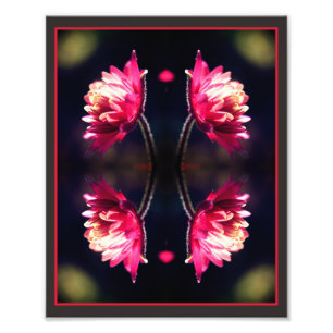 Foto Flor Vermelha No Espelho Da Luz Solar Abstrato 8x1