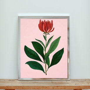 Foto Flor Vermelho em greve