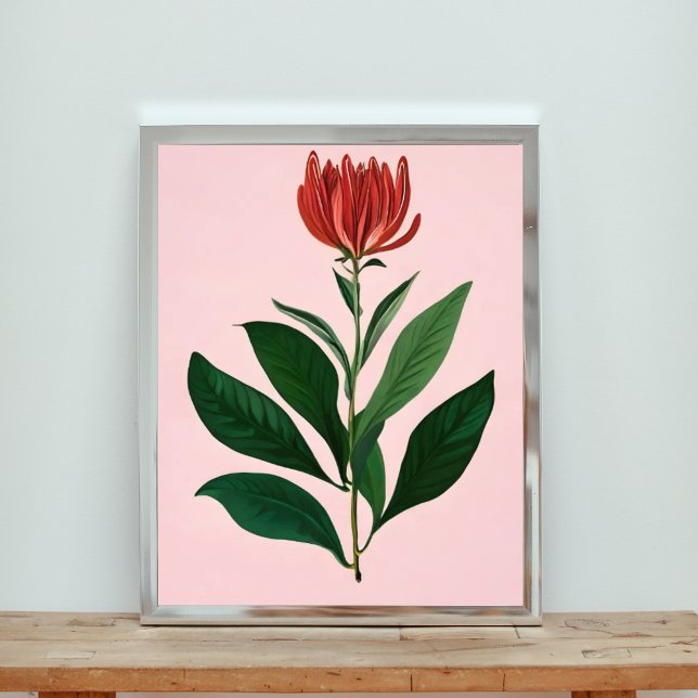 Foto Flor Vermelho em greve (Criador carregado)