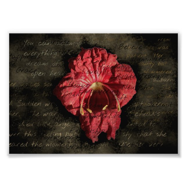 Foto Flor Vermelho no Texto Grunge (Frente)