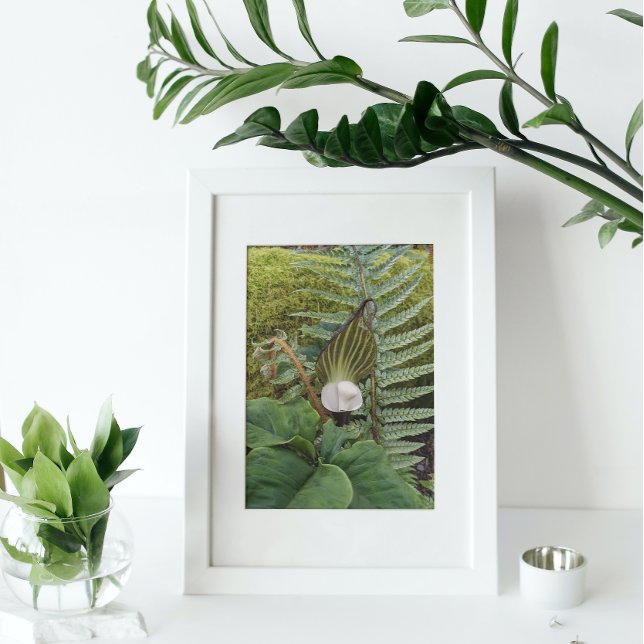 Foto Flora Botânica da Floresta (In Situ Framed)
