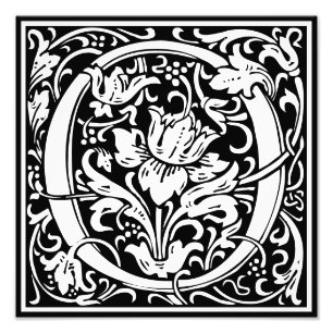Foto Floral Alfabeto Monograma - Letra O Impressão de F