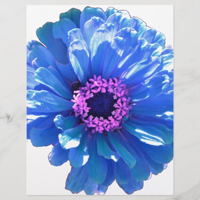 Foto floral azul-margarida (Frente)